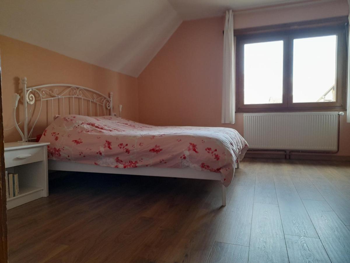 Appart 4 Pers Refait Neuf 90M2 Avec Balcon Baldenheim Exterior photo